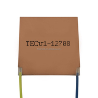 Module de refroidissement thermoélectrique TE, climatiseur personnalisé, générateur d'eau, TEC 12702 12703 12706 12708 12710 12v Peltier