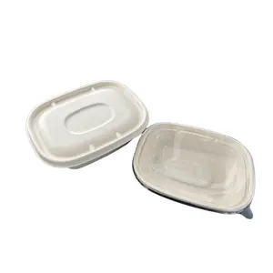 KINGWIN kotak makanan Bagasse 100% Biodegradable dengan tutup transparan untuk wadah nampan makanan bungkus