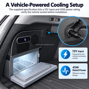 Refrigerador Oculto de 15L para Maletero de Tesla Model Y - Product Image 4