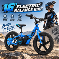 Vélo d'équilibre électrique pour enfants en acier au carbone, moteur 250W, batterie lithium 24V 5.2 Ah, vélo à pousser robuste, vélo d'entraînement pour enfants