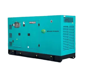 Generador de gas CH4 50kw 60kw generador de energía de biogás conjunto micro generador de electricidad de biogás para el hogar