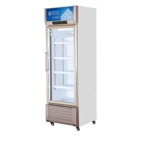 ステンレス鋼冷凍庫kirloskar冷凍コンプレッサーガラスドアディスプレイ冷蔵庫