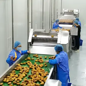 Mango Zellstoff Produktions linie Mango Entsafter Maschine Verarbeitung linie Mango Saft Abfüll prozess Ausrüstung