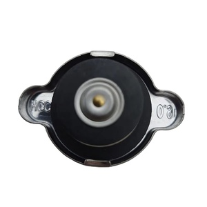 Cubiertas de radiador de alta calidad al por mayor 25330-17000 2533017000 para EQUUS/CENTENNIAL 25330 17000 - Product Image 3