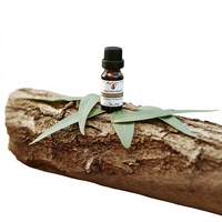 Huile Essentielle Pure d'Eucalyptus Citriodora SAKAY, Base Répulsive Naturelle Contre les Insectes à 65%+ de Citronellal, Durée de Conservation de 3 Ans, Origine Bidon