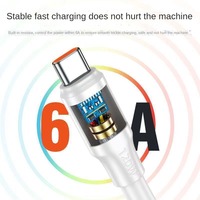 Chargeur USB rapide en gros 67W 120W Chargeur USB Bold 6A Adaptateur secteur USB-C Tressé Compatible avec iPhone