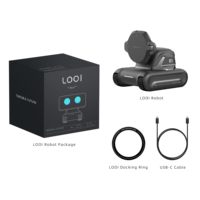 Robot intelligent Looi Ai ChatGPT avec reconnaissance gestuelle et faciale, compagnon électronique, interaction vocale, compagnon de bureau avec personnalité