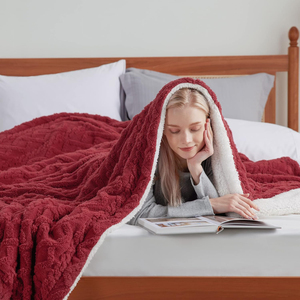 Hot Bán Biểu Tượng Tùy Chỉnh Sherpa Lông Cừu Chăn 100% Polyester Siêu Mềm 3D Jacquard Vải Đôi Hai Mặt Giường Sofa Trang Trí Nội Thất - Product Image 6