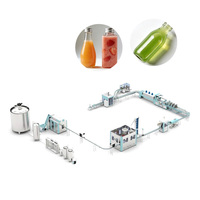 Gainjoys Turnkey Fruit Sap Productielijn Automatische Mango Appel Sinaasappel Sapverwerkingsinstallatie voor Industriële Drankfabriek