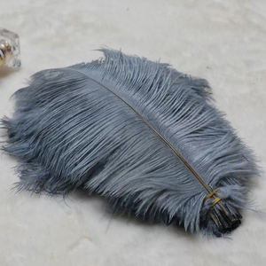Fournisseur en gros de <span class=keywords><strong>plumes</strong></span> artisanales de 15 à 65 cm, <span class=keywords><strong>plumes</strong></span> d'autruche <span class=keywords><strong>blanches</strong></span> naturelles de grande taille, vente bon marché, pour mariage - Product Image 3
