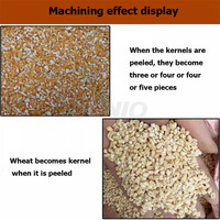 Machine à décortiquer le maïs pour usage agricole : production de semoule grossière, de grains fins et de farine – Machine à écosser le maïs