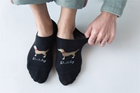 Vente en gros en vrac Chaussettes invisibles drôles avec dessin de teckel Chaussettes en coton antidérapantes pour hommes