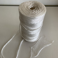 Ficelle en polypropylène blanc PP de 1 kg, durable, pour l'agriculture, l'emballage commercial, les cordes de ligature et le paillage
