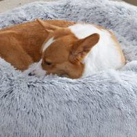 Hochwertiges Kunstfell XXL Extra Großes Jumbo Hundebett Sommer Mode Einfarbig Plüsch Wasserdicht Box-Möbel Dropshipping