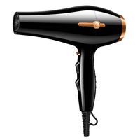 Pengering Rambut Salon yang Ditingkatkan dengan Nozzle Konsentrator, Motor AC 2200W, Perlindungan Panas, Desain Ramah Perjalanan, Pengeringan Instan, Hotel