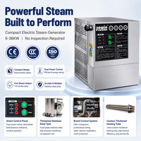 Équipement de nettoyage et de stérilisation à la vapeur haute température 18 kW, chaudière à vapeur en acier inoxydable 304 pour cuisine commerciale