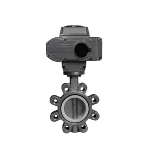 Vanne papillon motorisée électrique COVNA en acier inoxydable à membrane PTFE, avec fenêtre de contrôle de 90 jours, AC220V DN50-DN400 PN16 - Product Image 6