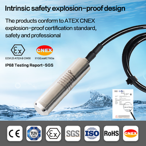 WTsensor Mesure de niveau de forage submersible en acier inoxydable Capteur de niveau d'eau à puits profond - Product Image 5