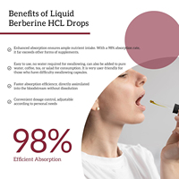 Complément alimentaire liquide OEM Berberine HCL 1200mg, racine de berbérine avec cannelle de Ceylan, soutient le système immunitaire et la santé cardiaque