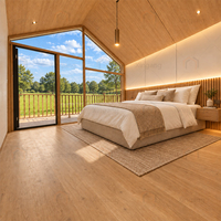 Desain Mewah 1 2 Kamar Tidur Modular Atap Segitiga Indah Struktur Baja Ringan Modern Villa Prefabrikasi Baja
