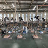Machine de remplissage de poudre semi-automatique multifonctionnelle de qualité alimentaire haute précision pour le remplissage quantitatif de sachets de café, de farine et de cacao