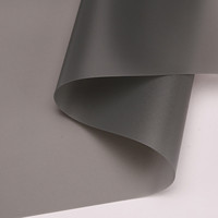 Film de Projection arrière gris de tissu d'écran Transparent de haute qualité de vente d'usine 0.3MM pour les écrans de projecteur 3D 4K