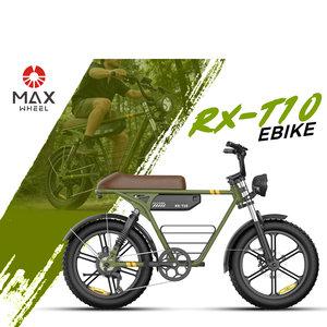 Bicicleta Eléctrica con Llantas Gruesas de 20 Pulgadas, 750W, 48V, 15AH, 45KM/H, Cuadro de Acero al Carbono, Frenos de Disco, City RX-T10 1, Motor Potente y Gran Autonomía - Product Image 1