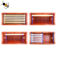 Apicultura comercial Pro Nuc 5 Caja de Marco con tapa de bloqueo Transporte de abejas Colmenas