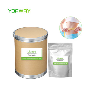 Enzima Lipasa al Mejor Precio, <span class=keywords><strong>CAS</strong></span> 9001-62-1, Polvo de Lipasa de Grado Alimenticio - Product Image 5