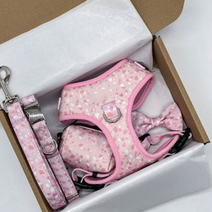 Arnés y Correa Ajustables para Perros con Impresión Personalizada de Diseñador, sin Tirones, con Logotipo Personalizado para Perros, Venta al Por Mayor - Product Image 1