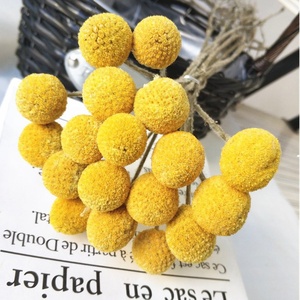 Ramo de flores para decoración de boda, guirnalda de Navidad, Bola de flores secas, crasdica, bolas amarillas, <span class=keywords><strong>Billy</strong></span>, flores secas - Product Image 3