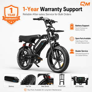Bicicleta eléctrica QMWHEEL V20 Limited 48V, bicicleta eléctrica urbana, Ebike con batería de litio, bicicleta eléctrica todoterreno para la marca DTC, disponible en stock. - Product Image 1