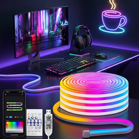 Ruban lumineux néon TSINYE RGB, contrôle par application Bluetooth, changement de couleur, USB, 5 m, découpable, dimmable, pour salle de jeu, rétroéclairage TV, décoration de fête