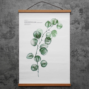 Marco Magnético <span class=keywords><strong>para</strong></span> Pósteres, Marco de Madera con Imán <span class=keywords><strong>para</strong></span> Pósteres, Impresiones, Fotos, Cuadros, Mapas, Pergaminos y Obras de Arte en Lienzo - Product Image 2