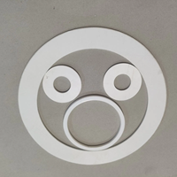 Joint d'étanchéité en PTFE haute performance, résistant aux produits chimiques, rondelle sur mesure, fabricant d'anneaux d'étanchéité industriels