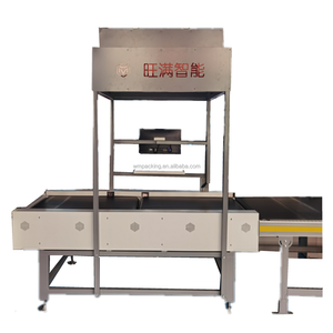 Wangman 2025 – Nouveauté : Système DWS dynamique six faces pour dimensionnement, pesage et numérisation <span class=keywords><strong>de</strong></span> colis avec caméra HD – Machine logistique - Product Image 1