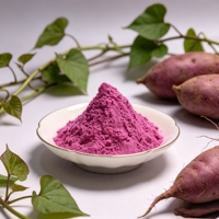 Poudre de jus de patate douce violette séchée par atomisation, soluble dans l'eau, pour boissons et préparations solides