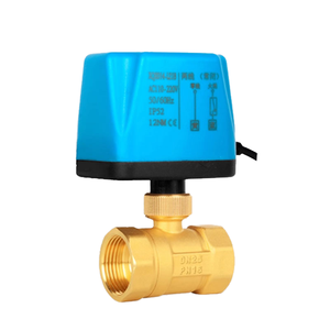 Válvula de bola motorizada de 2 vías y 2 hilos, normalmente cerrada (NC), abierta (NO), DC12V, DC24V, AC220V, 1/2, 3/4, 1, 2 pulgadas, nueva, original, industrial - Product Image 1