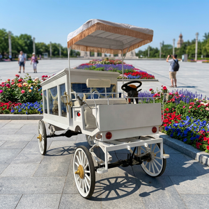 Cercueils funéraires classiques modernes blancs sur mesure, fabriqués par une entreprise de transport spécialisée - Product Image 1