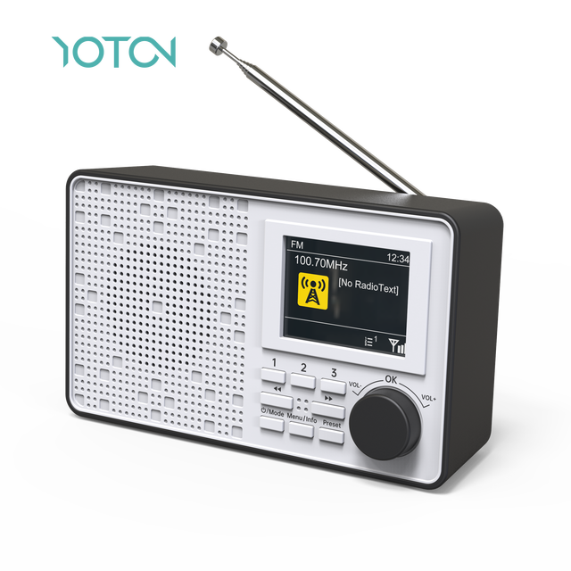 New Offer Portable Alarm Clock DAB+ Radio With Color TFT Display Radio Am Fm 30 Preset Stations