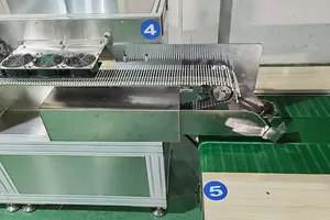 Forbona Fully Disposable Automatic Paper Cotton Swabs Sticks Making Machine Cotton Swab Making Machine