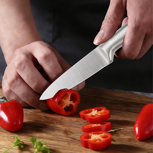 Stainless Steel Plastic <b>Kitchen</b> Utility <b>Knife</b> Ultra <b>Sharp</b> Multi-Purpose Fruit <b>Knife</b> Ambidextrous Brushed Finish OEM/ODM - Product Image 2