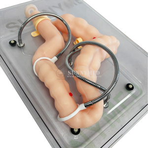 Y tế khoa học nội soi mô hình đào tạo cho giảng dạy mềm mô phỏng đại tràng Organ mô hình - Product Image 6