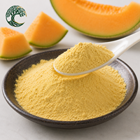 YUSAIL Poudre d'extrait de cantaloup 100% naturelle de qualité alimentaire, poudre de melon Hami pour les boissons
