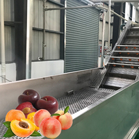 Passievruchtconcentraat Sap Pulp Verwerkingsfabriek Productielijn