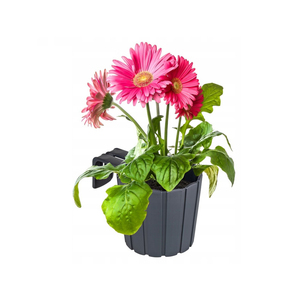 Maceta Decorativa con Cubierta Calada de Seis Diez Centímetros, Color Antracita Arenoso, con Inserto de 1.7 Litros - Product Image 3