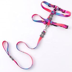 Custom High End Nylon Summer Training Set for Dogs Durable Private Label Dog Leash and <b>Collars</b> Dropshipping <b>Pet</b> Products - Product Image 1
