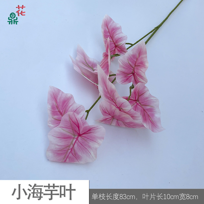 Petites feuilles de lys calla SQD rose