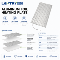 Plaques chauffantes électriques en aluminium OEM pour usage extérieur avec capacité de chauffage de -40 à 180°C, certifiées CE, multi-tension