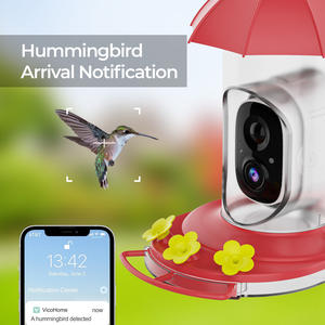 Draadloze Vogelfotografie Outdoor Monitor Observeren Activiteit Eten Slimme Vogel Feeder Camera Waterdichte Vogel Feeder Camera - Product Image 2